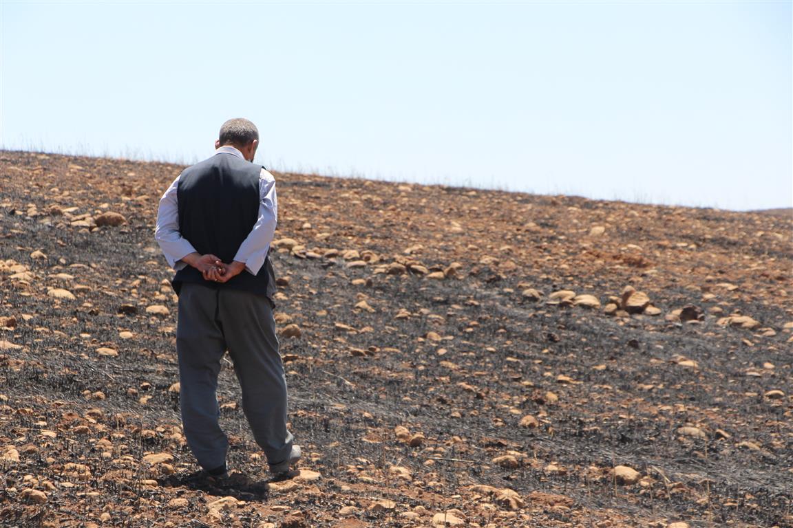 Silopi’de 1500 dönüm arazi yandı, mühendisler uyardı!