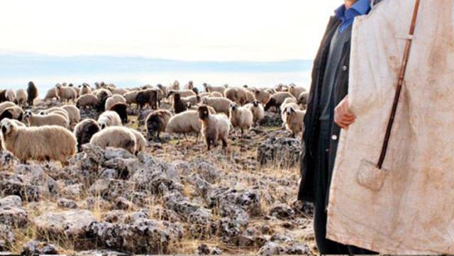 Silahla öldürülmüş iki çoban bulundu