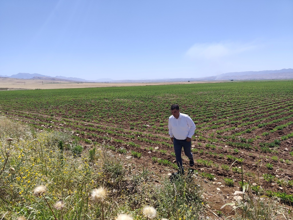 Silopi&rsquo;de Bin ki&scedil;iyi istihdam edecek sera organize tar&inodot;m b&ouml;lgesi kurulacak