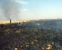 Silopi&rsquo;de 200 d&ouml;n&uuml;m ekili bu&gbreve;day yand&inodot;